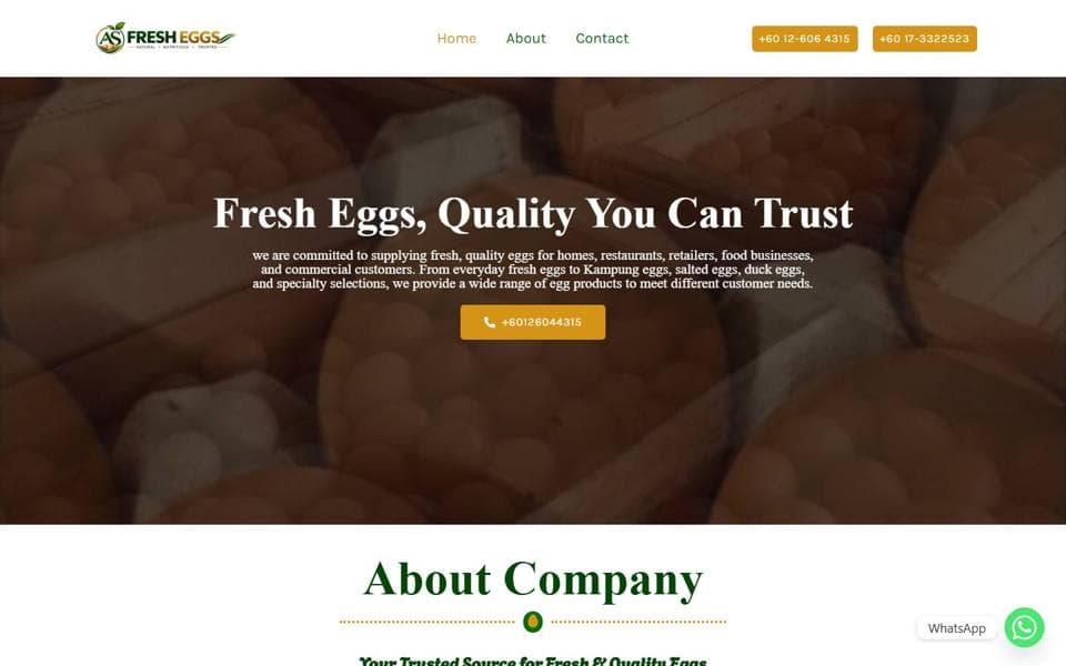 Anamika Global website